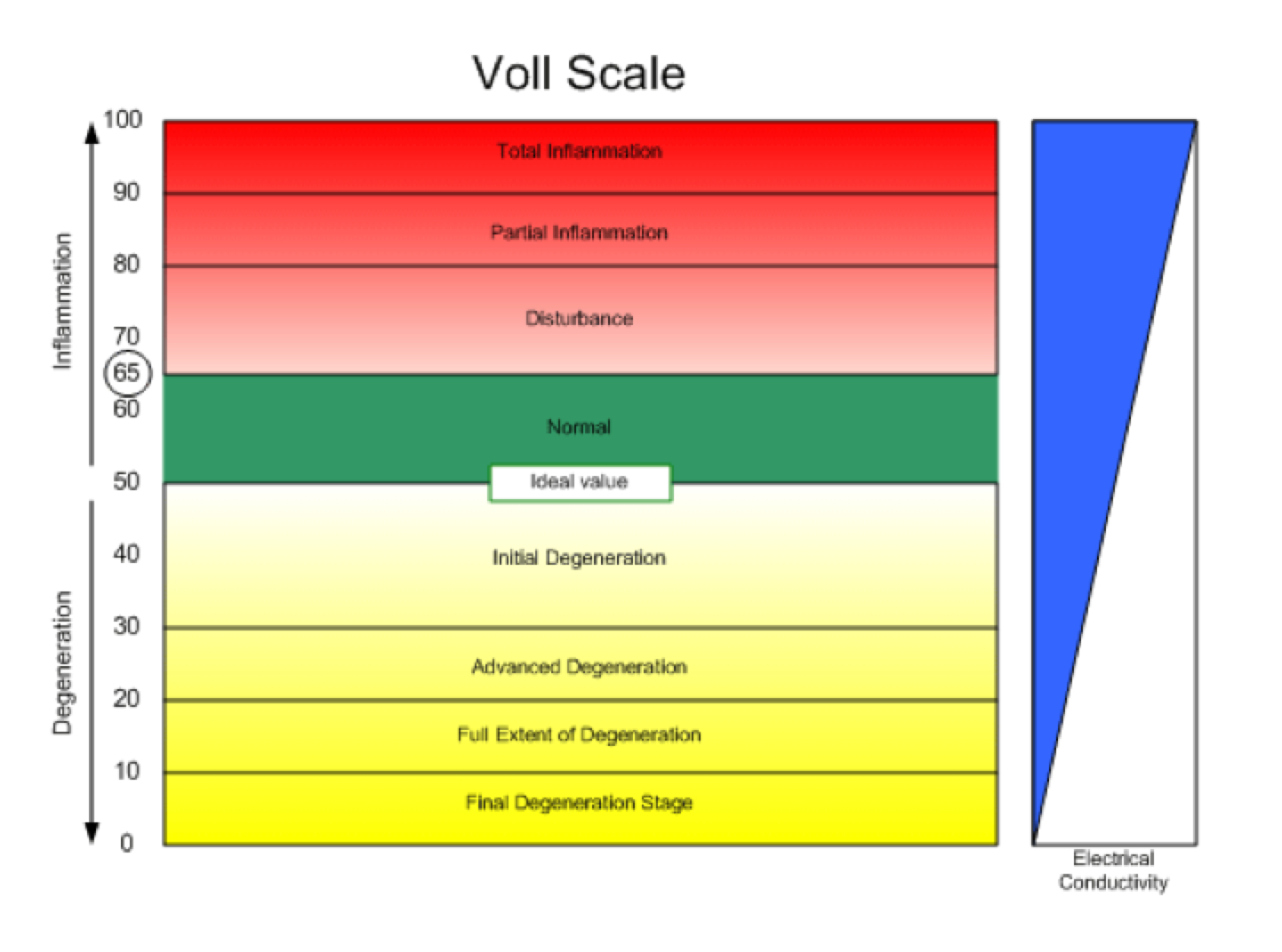 voll-scale